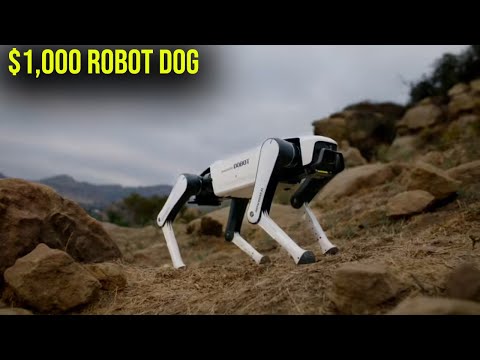 Rover X1 Review Video 2