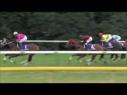 2009 Japan Cup (G1) | JRA Official