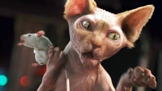 Trailer Preview Image