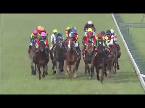 2018 Meguro Kinen (G2)