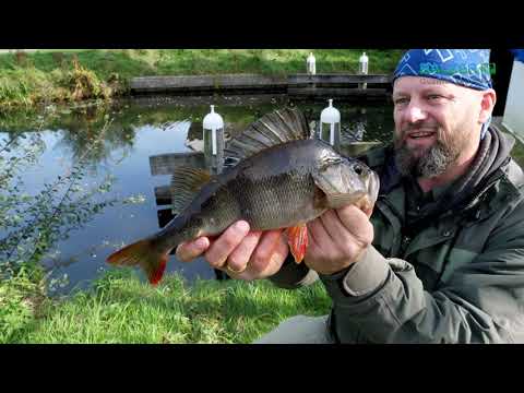 Matze Koch: The Master Whips