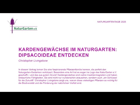 Naturgartentage 2025 | Kardengewächse im Naturgarten: Dipsacoideae entdecken