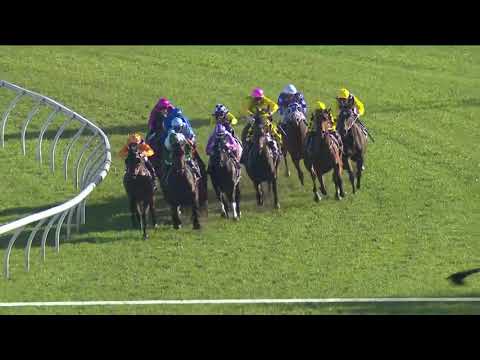 2018 Spring Champion Stakes | Maid Of Heaven