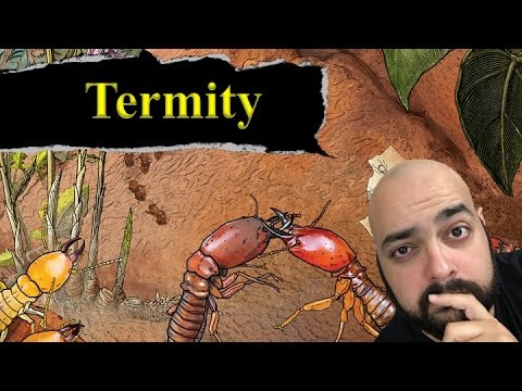 Termity Review - with Zee Garcia