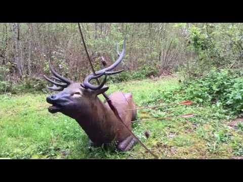 Sons of Archery Switzerland En Terre de Bourgogne