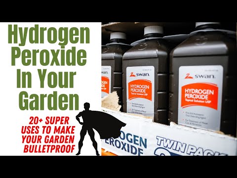 Hydrogen Peroxide In The Garden | 20+ Benefits Covered | From Plant Health To Super Sized Harvest!!!