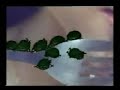 Iklan PSA Kementerian Kesihatan Malaysia 1992 AIDS Pembunuh Cara Jangkitan B Melayu