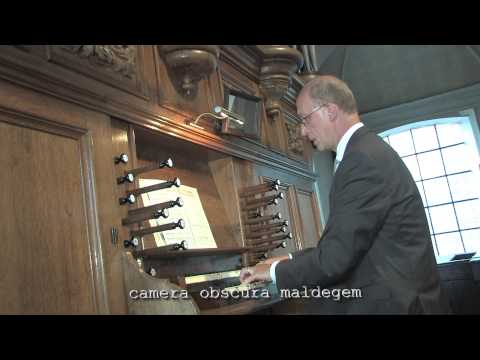 2039 De Vlaamse Leeuw op het Hooghuysorgel./FPAVDW-CM