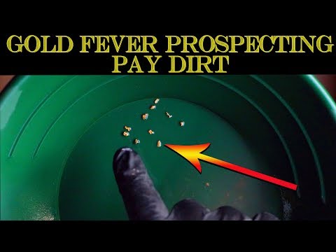 Gold Prospecting at Home #55 - Gold Fever Prospecting - 1.5 Gram Gold Guaranteed