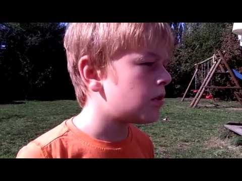 Tomte Tummeltott und der Fuchs