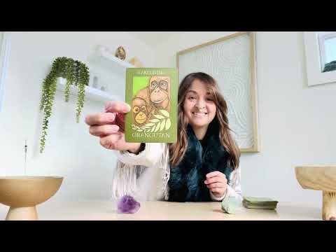 Honoring Your Inner Truth - 11/18 - 11/24/24