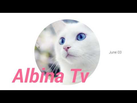 Albina Tv