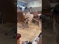 Manicurists Caught Picking Her Nose On The Job