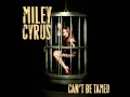 Miley Cyrus - Can't Be Tamed (Audio)