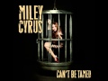 Miley Cyrus - Can't Be Tamed (Audio) 