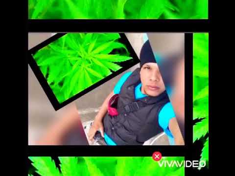 Elbamby ft coco music La velde tul Quesa