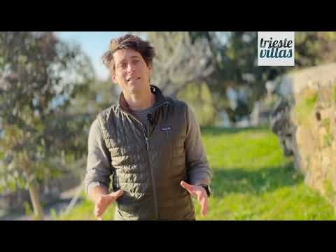 Trieste / Costiera / Terreno in vendita