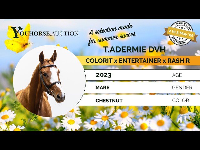 T. Adermie DVH