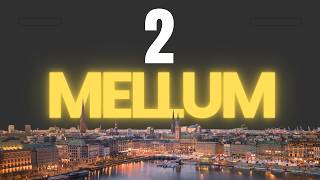 Mellum2: JetBrains' New Coding Model - vLLM + MCP Tool Use Locally