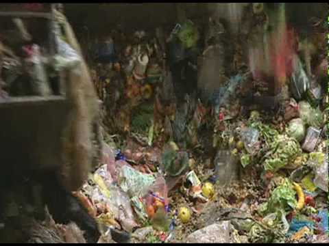 Thumbnail of the video: Food Waste - The story of our garbage bins