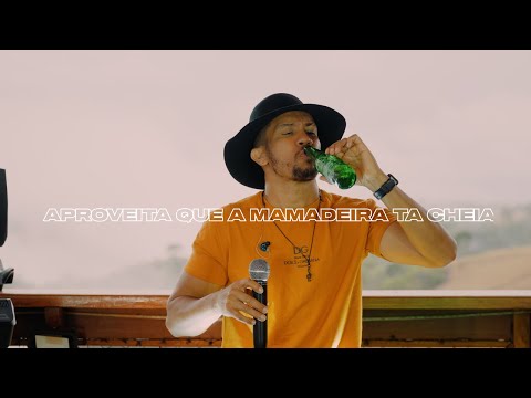 Zé da Vea - Aproveita Que a Mamadeira ta Cheia - Dvd Hits das Antigas 2024 (Cover )