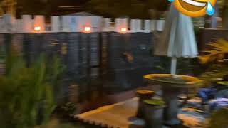 Download lagu Tak dapat balik kampung,guyz mp3