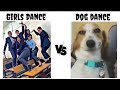 Girls Dance Vs Dog Dance Instagram Trending Reels Video Viralvideo Memes