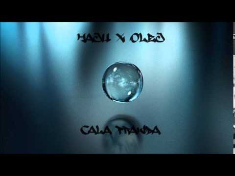 HaJu x Olej- Cała prawda