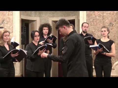 Canticum Choir - Sarba-n caruta (Mothertongue Concert, may 2016)