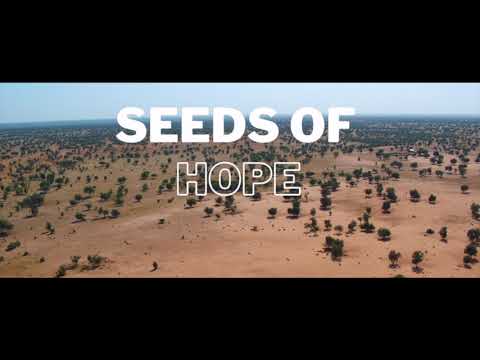Seeds of Hope