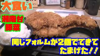 [大食い]　同じフォルムが2個でてきてたまげた！！湘南台　豚菜