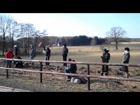 Pass-Seminar - Füchtenschnieder @ Kronshof - www.isibless.de