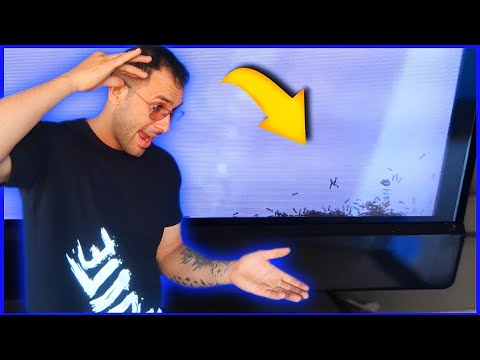 ANTS INSIDE MY TV HOW TO SOLVE IT WITHOUT OPENING IT