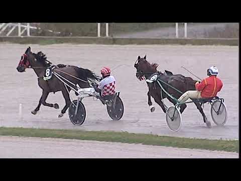 Napoli Trotto 20/01/2023 - 1ª corsa