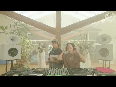 Zombies In Miami | themuddshow