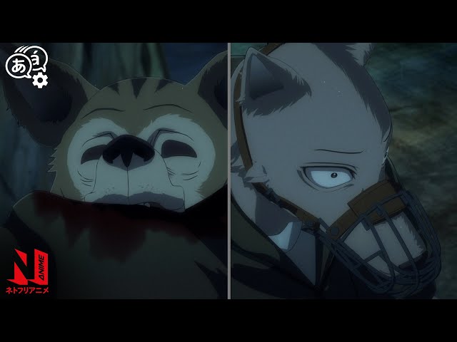Legoshi's Intense Hyena Battle | BEASTARS | Clip | Netflix Anime