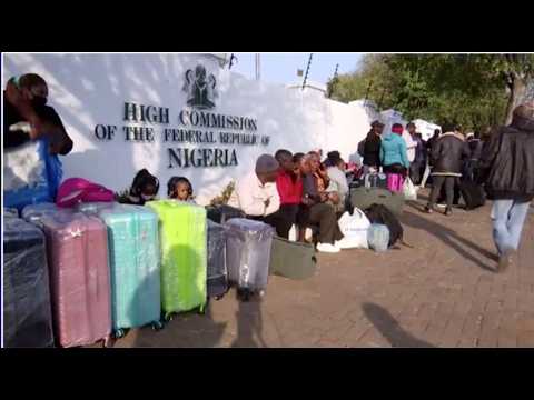 None of the 268 Nigerians being repatriated are in SA legally, says home affairs