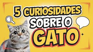 5 Curiosidades Sobre Gatos Que Você Nunca Imaginou! 😻🐾