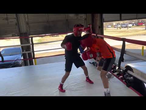 Saturday Morning Light Sparring