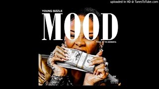 Young Sizzle - MOOD