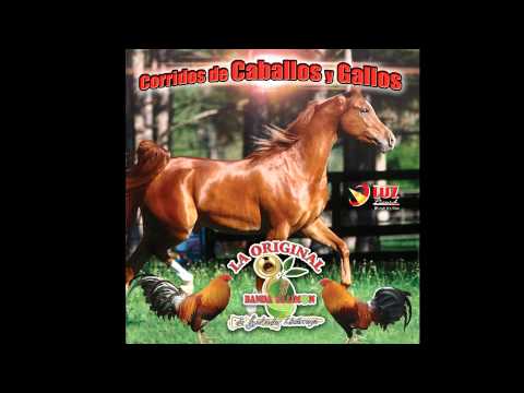 El Cantador / La Original Banda el Limon de Salvador Lizarraga