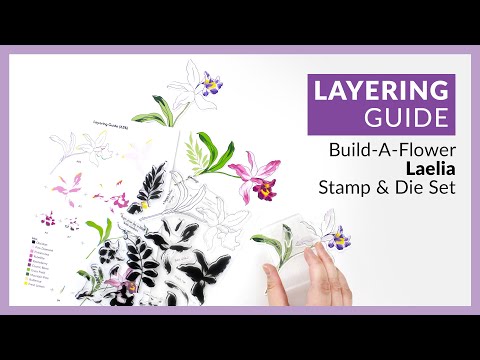Beautiful Build-A-Flower: Laelia Layering Stamp & Die Set