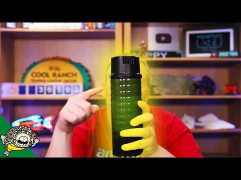 The BEST Goldfish and Turtle Filter!