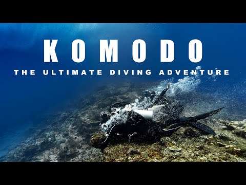 [4K] KOMODO ISLAND DIVING-The Ultimate diving adventure 코모도다이빙#bluemarlindive #labuanbajo #indonesia