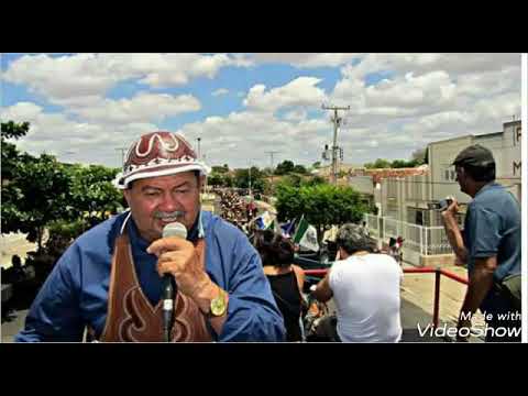 #16 ZÉ DE ALMEIDA, Burro Cochete