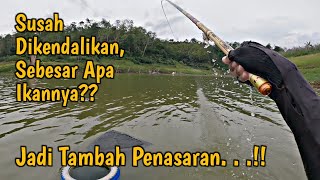 Download lagu CELAKA‼️JORANKU DISIKSA, NILA BABON SUSAH DIKENDALIKAN‼️ MANCING IKAN NILA - MANCING MANIA mp3
