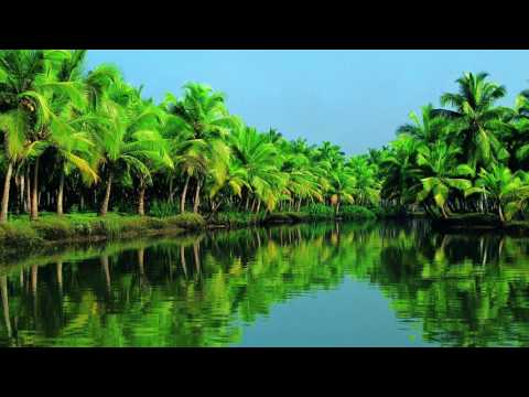 CVGM OST - Palmtree Paradise