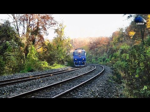 Isabella - Jimmy 65-0950-9 Turat la Maxim Urca Spre Halta Jebuc [Autumn Edition]