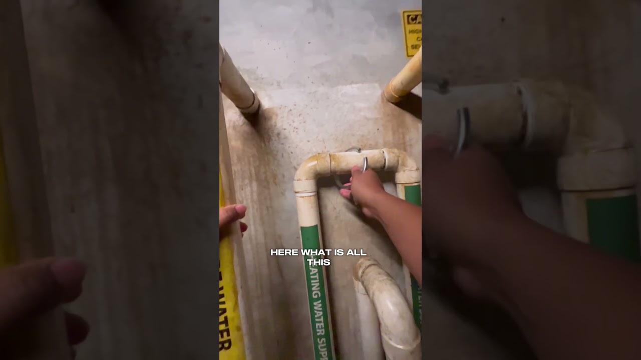 YouTube Short thumbnail