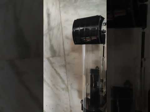 MODULYSS   MOUSE TRAP   SZ-1251